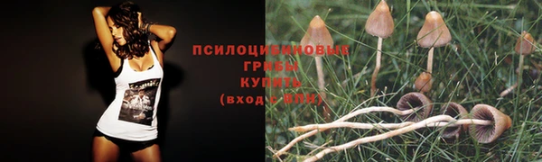 прущая мука Новокубанск