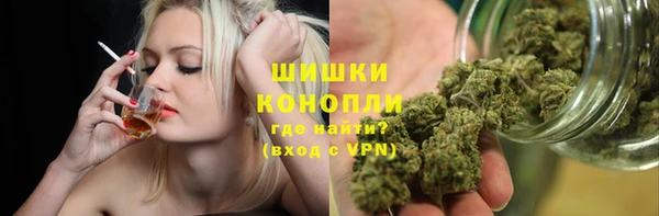 ГАЛЛЮЦИНОГЕННЫЕ ГРИБЫ Аркадак