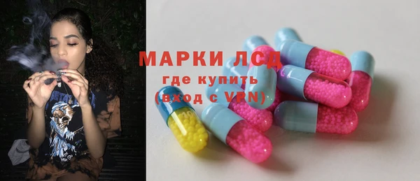 ПСИЛОЦИБИНОВЫЕ ГРИБЫ Арсеньев