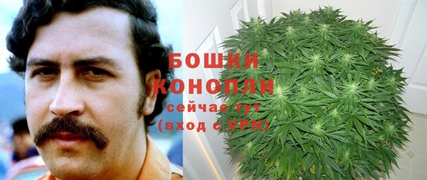 ГАЛЛЮЦИНОГЕННЫЕ ГРИБЫ Аркадак