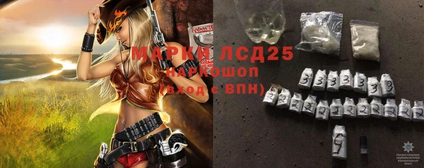 ГАЛЛЮЦИНОГЕННЫЕ ГРИБЫ Аркадак
