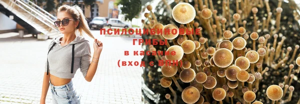 ГАЛЛЮЦИНОГЕННЫЕ ГРИБЫ Аркадак