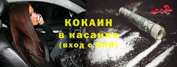 ГАЛЛЮЦИНОГЕННЫЕ ГРИБЫ Аркадак