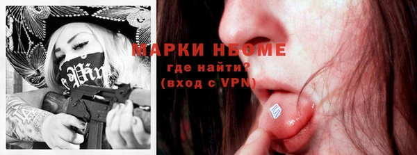 ГАЛЛЮЦИНОГЕННЫЕ ГРИБЫ Аркадак