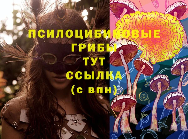 ПСИЛОЦИБИНОВЫЕ ГРИБЫ Арсеньев