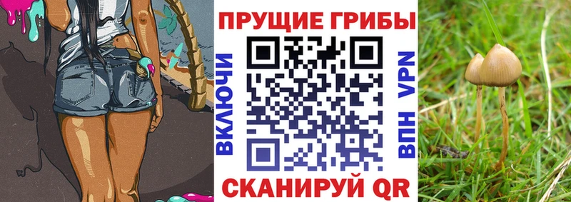 Галлюциногенные грибы ЛСД  даркнет как зайти  Дыгулыбгей  гидра ССЫЛКА 